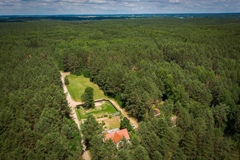 Bed and Breakfast Mazurska Lesniczowka Nowy Zyzdroj Exteriér fotografie