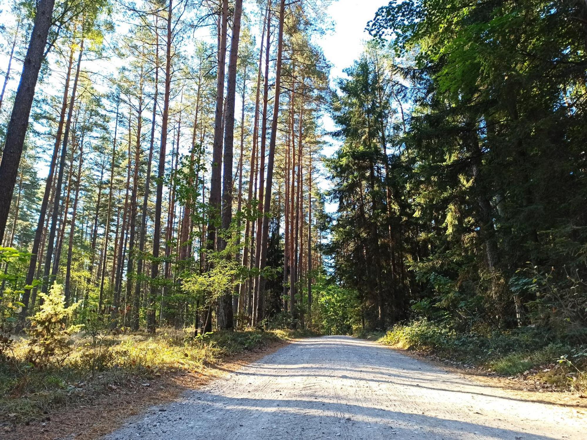 Bed and Breakfast Mazurska Lesniczowka Nowy Zyzdroj Exteriér fotografie